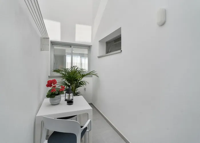 Iris Tropical * Araya (Tenerife)